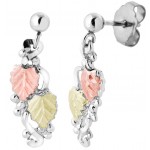 Earrings - by Landstrom's