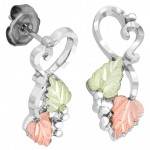 Earrings - by Landstrom's