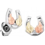 Horseshoe Earrings - by Mt Rushmore