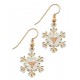 Snowflake Powder Coat Earrings - by Landstrom's