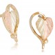 Earrings - by Landstrom's