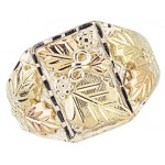 Men's Ring  by Mt Rushmore
