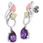 Stone Options - Earrings - by Landstrom's