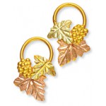 Earrings - Gold by Landstroms