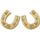 Horseshoe Earrings - by Landstrom's